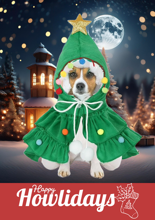 Christmas Tree Pet Costume with dog wearing green hooded cape decorated with colorful pompoms and gold star against winter night scene